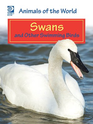 cover image of Swans and Other Swimming Birds